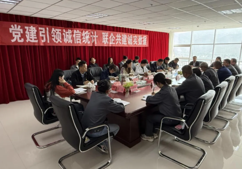 ‌“黨建引領(lǐng)誠信統(tǒng)計 聯(lián)企共建誠實數(shù)據(jù)”——公司黨委與國家統(tǒng)計局大通調(diào)查隊開展主題黨日活動