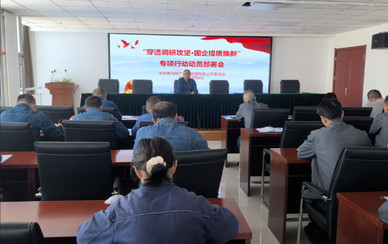 工投公司黨委召開“穿透調(diào)研攻堅(jiān)·國企提質(zhì)煥新”專項(xiàng)行動(dòng)動(dòng)員部署會(huì)