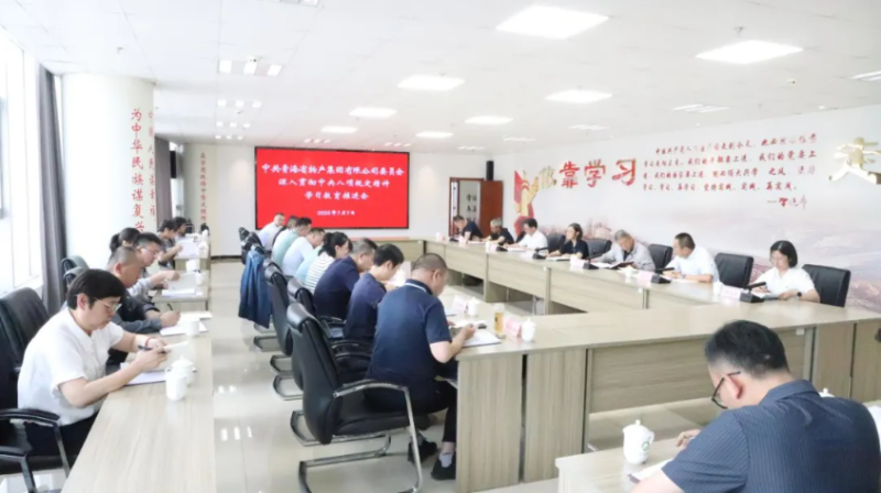 集團黨委召開深入貫徹中央八項規定精神學習教育推進會